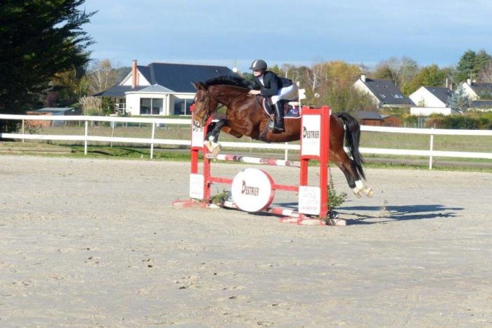 centre equestre corne